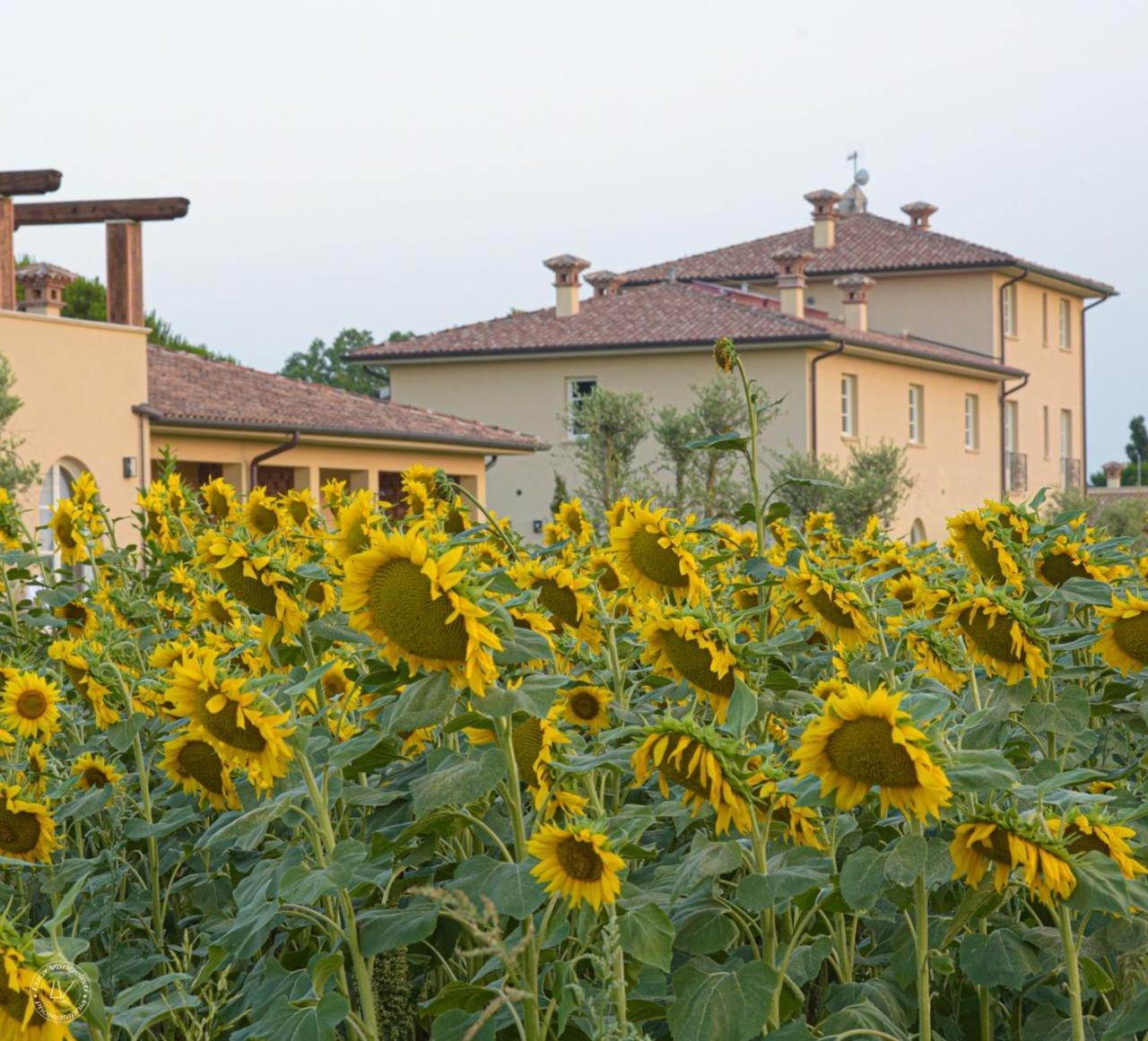 Agriturismo Villa Toscana كامبيليا ماريتيما المظهر الخارجي الصورة