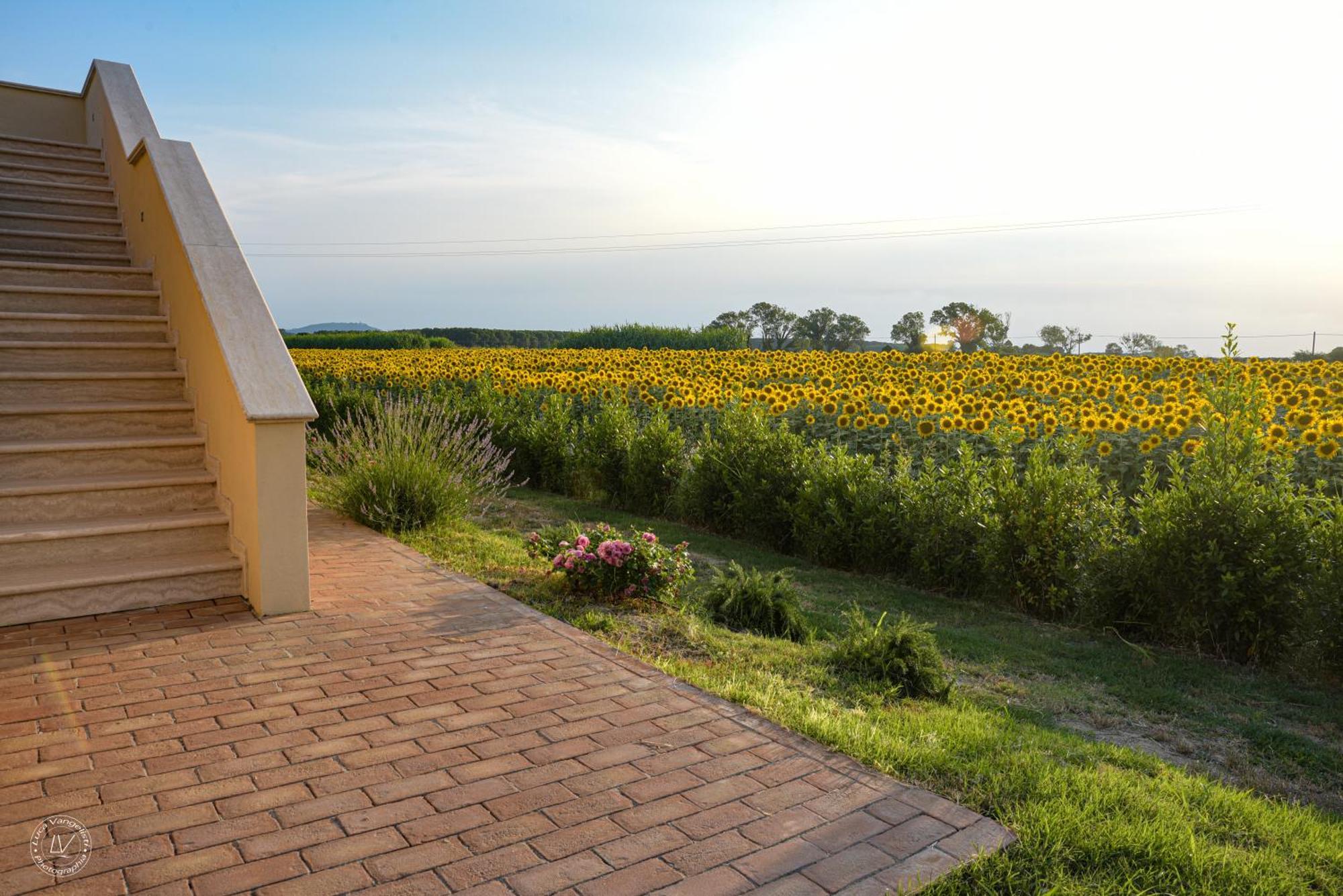 Agriturismo Villa Toscana كامبيليا ماريتيما المظهر الخارجي الصورة