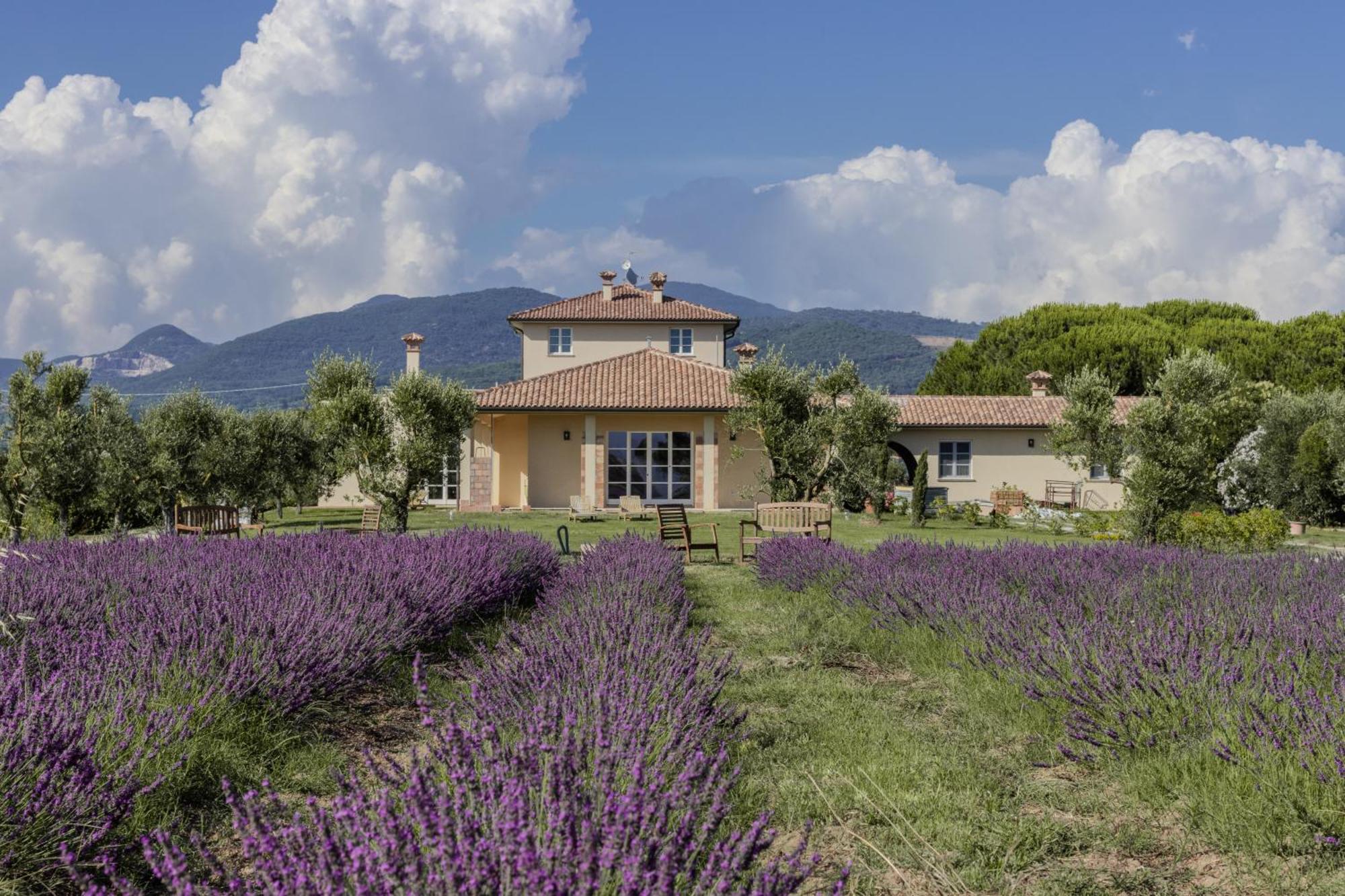 Agriturismo Villa Toscana كامبيليا ماريتيما المظهر الخارجي الصورة
